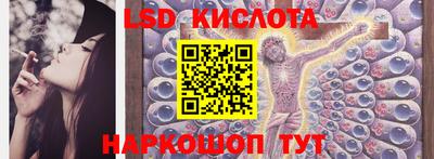 индика Партизанск