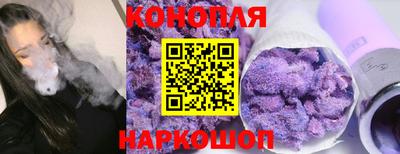 индика Партизанск