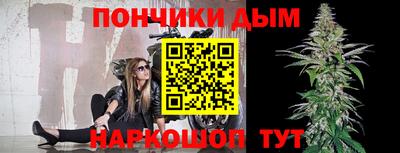 индика Партизанск
