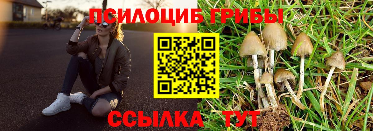 Псилоцибиновые грибы MAGIC MUSHROOMS Рассказово