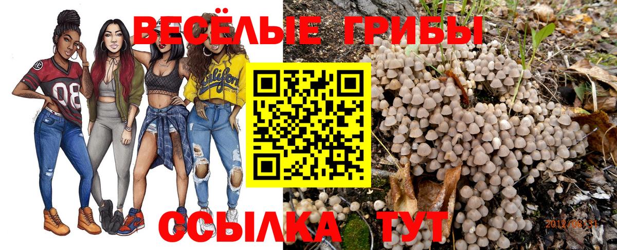Галлюциногенные грибы Psilocybine cubensis  Вход с VPN  наркотики  Рассказово  Псилоцибиновые грибы ЛСД 